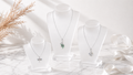 Necklace+charm